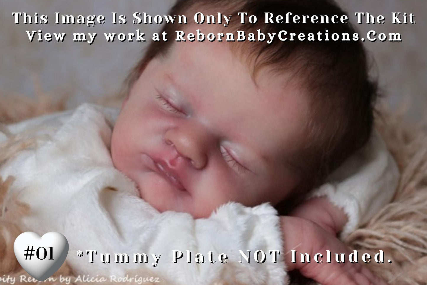 Reborn Baby **Hyper-Realistic** Reborn doll SOLE Evie by Laura Lee Eagles (19"+ Full Limbs)