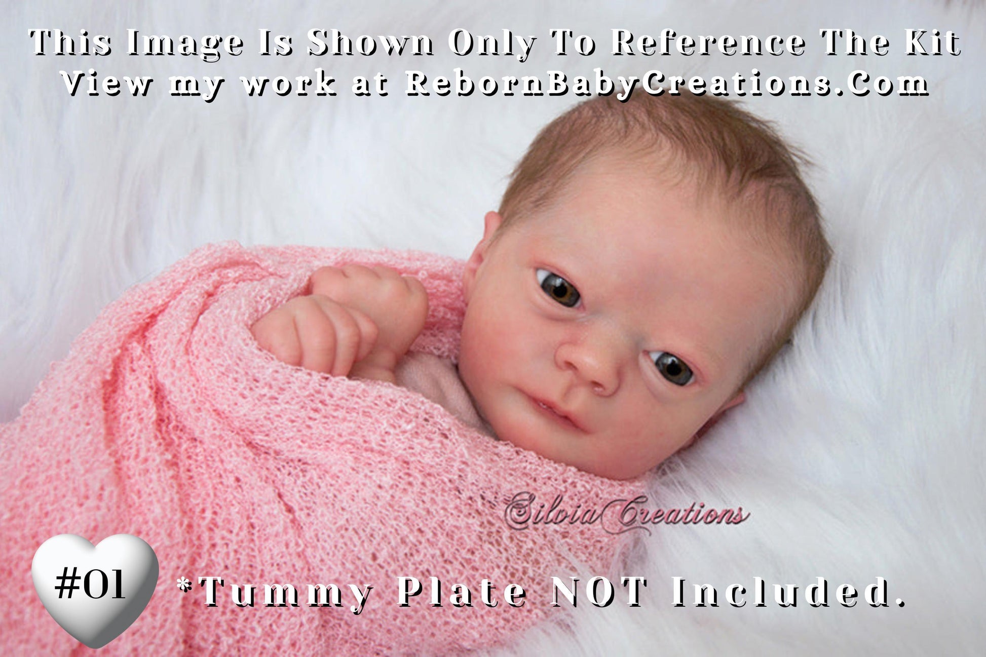 Reborn Baby **Hyper-Realistic** Reborn doll Realborn® Ashley Awake (17"+ Full Limbs)