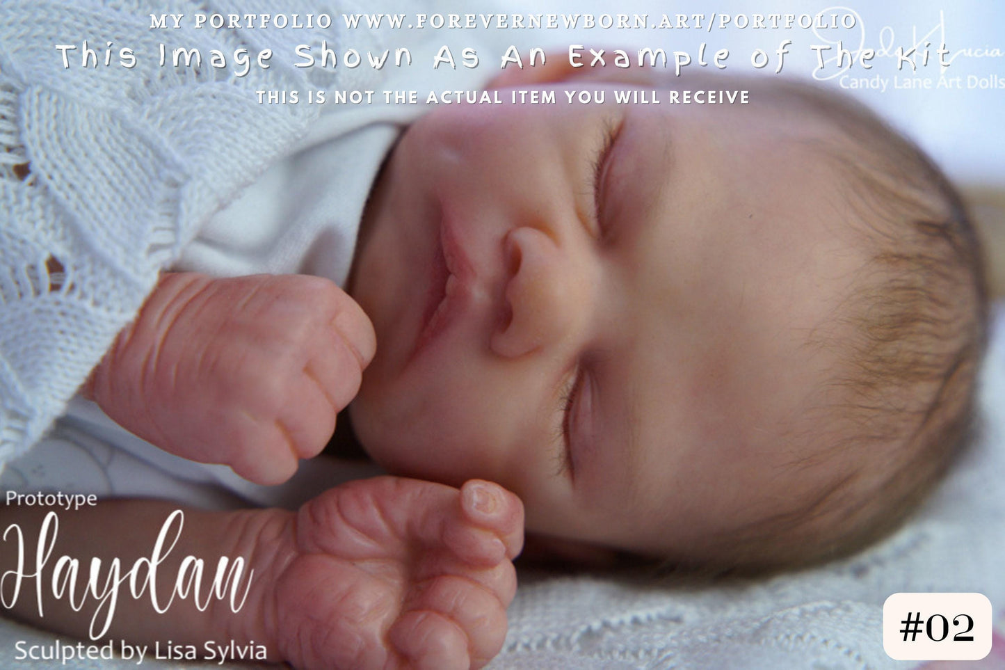 Extremely Realistic Reborn Baby Doll ~ Reborn Baby **Hyper-Realistic** Reborn Doll Haydan by Lisa Sylvia (16"+Full Limbs)