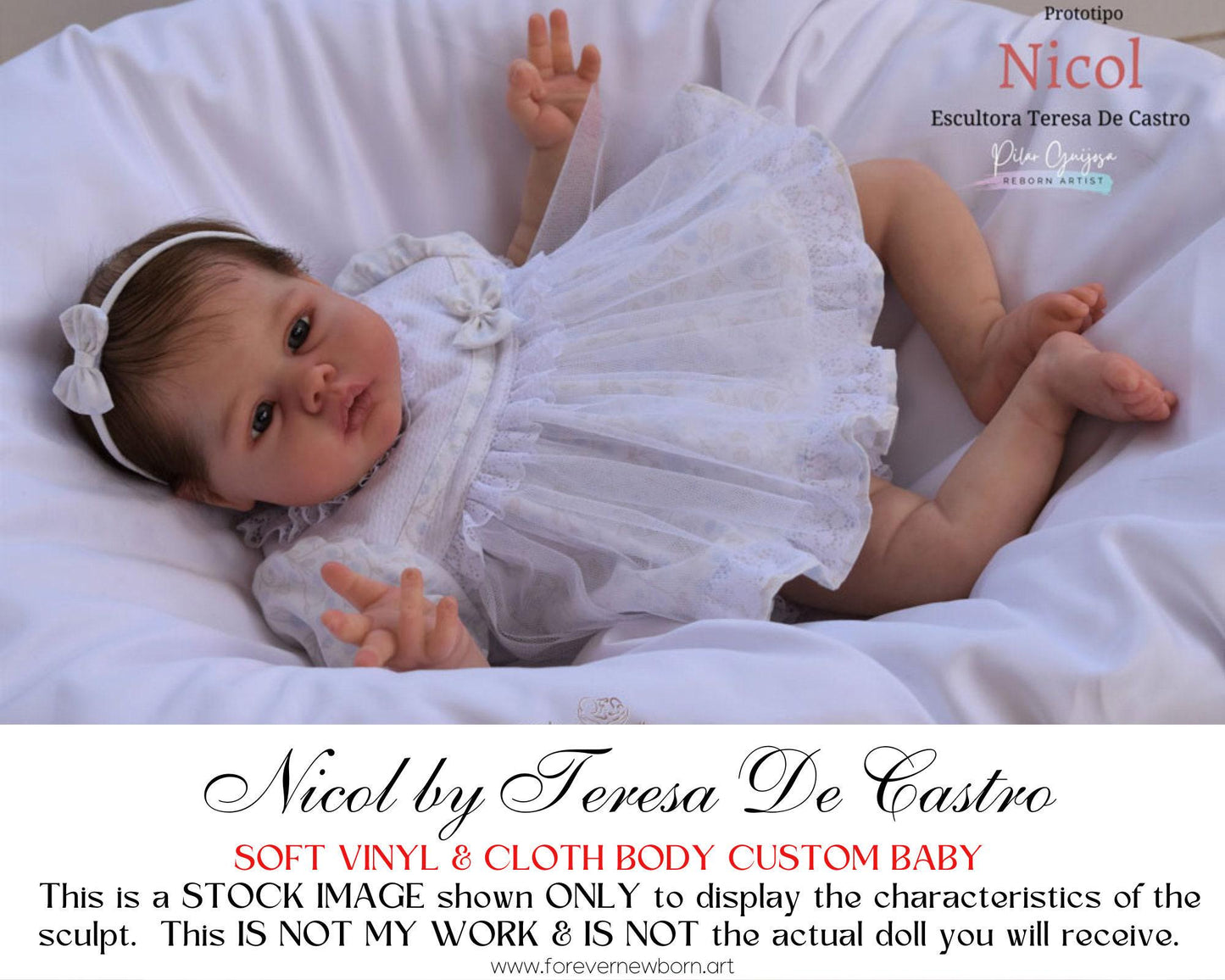 Lifelike Reborn Doll Nicol by Teresa De Castro (19"+ Full Limbs)