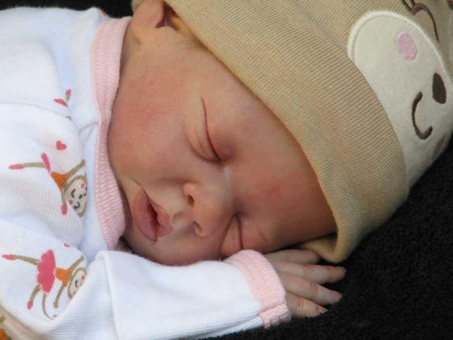 Reborn Baby **Hyper-Realistic** Reborn Doll Daisy by Bonnie Brown (16" 3/4 Limbs)