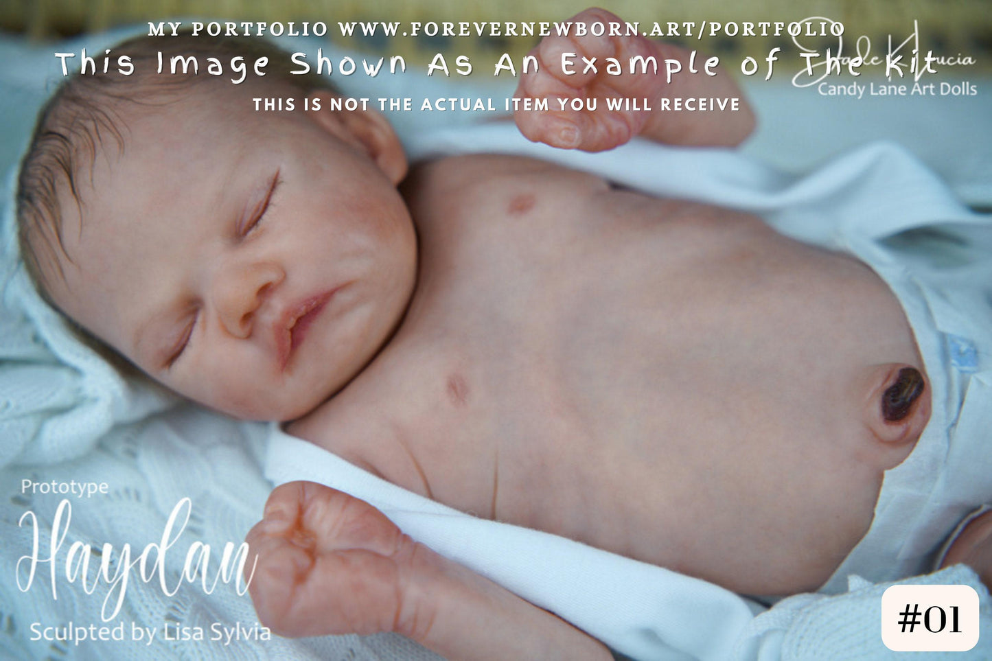 Extremely Realistic Reborn Baby Doll ~ Reborn Baby **Hyper-Realistic** Reborn Doll Haydan by Lisa Sylvia (16"+Full Limbs)