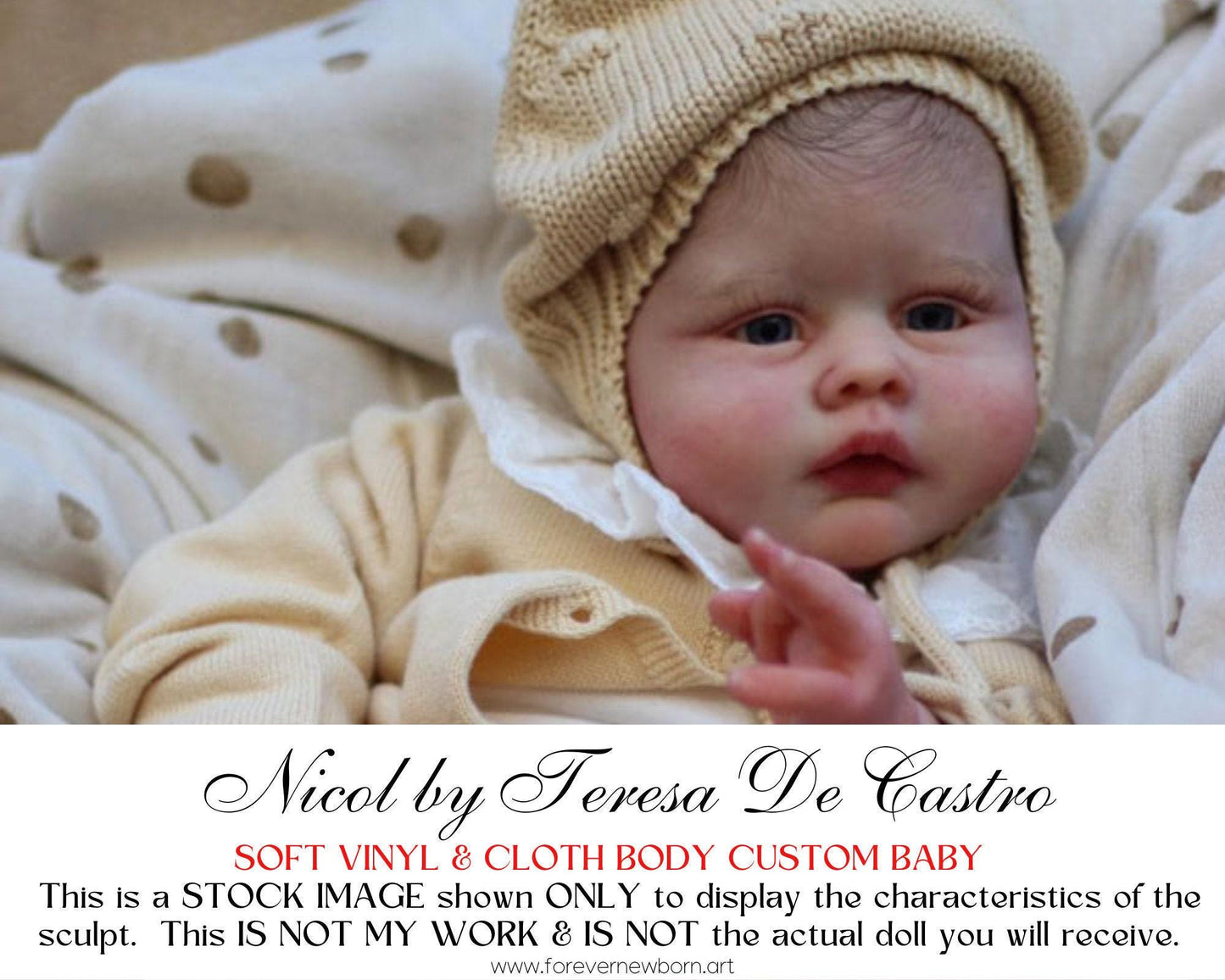 Lifelike Reborn Doll Nicol by Teresa De Castro (19"+ Full Limbs)