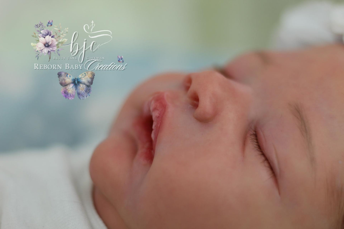 Ready To Ship Reborn Baby. Hyper-Realistic Alessandro by Cassie Ann Love.