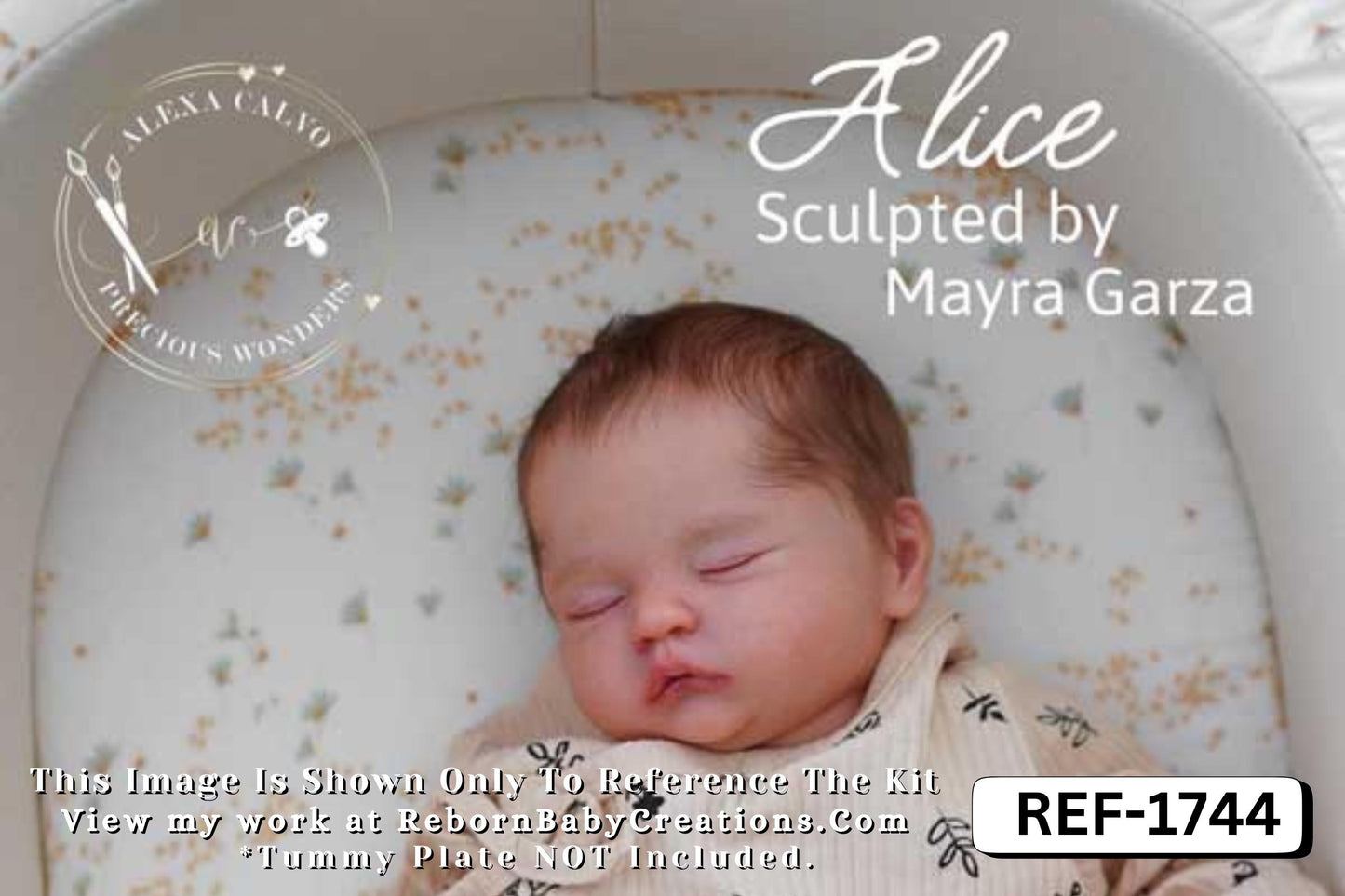 Pre-Order Coming September 7th!! LE Alice by Mayra Garza (19"+ Full Limbs)