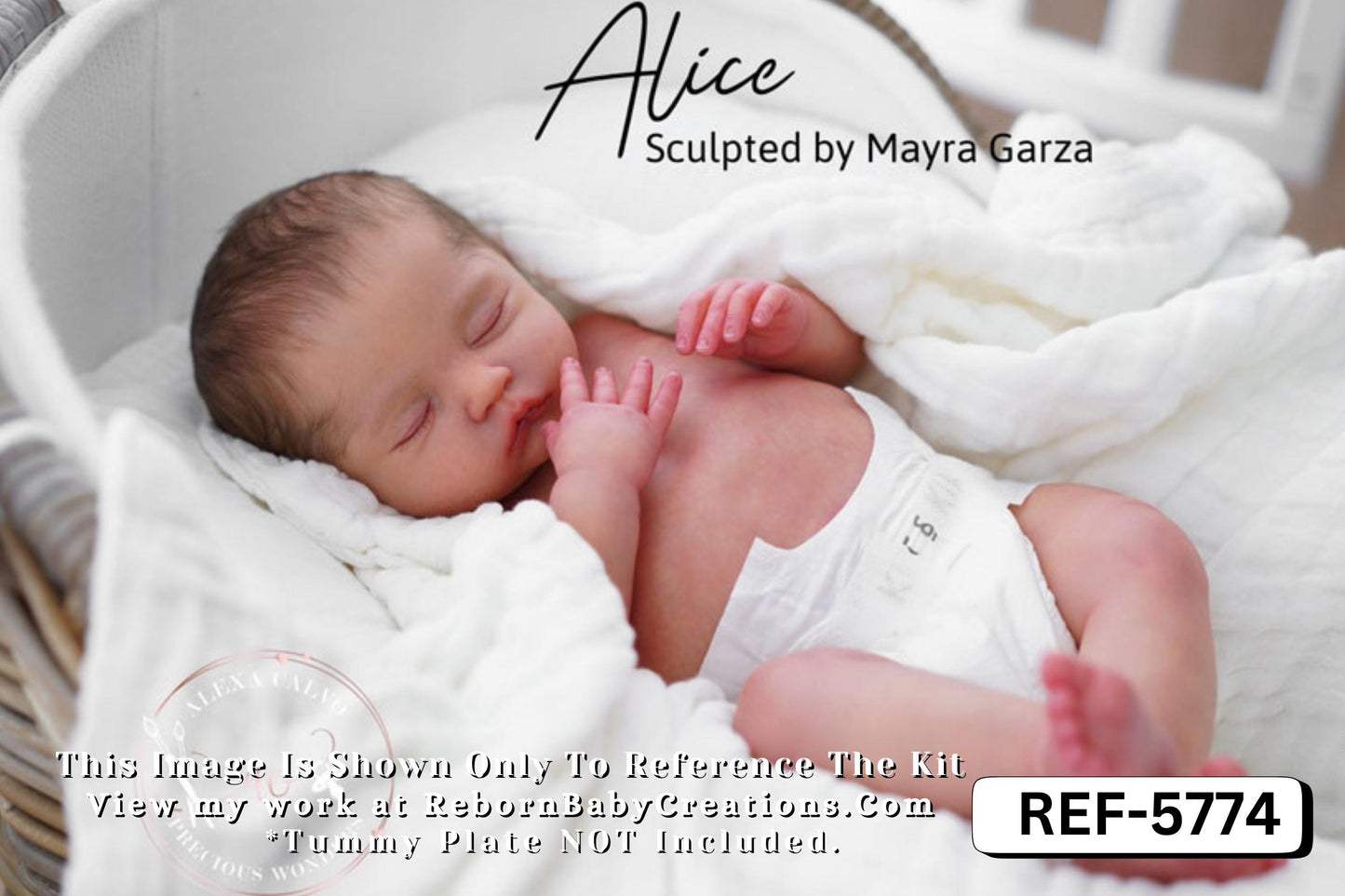 Pre-Order Coming September 7th!! LE Alice by Mayra Garza (19"+ Full Limbs)