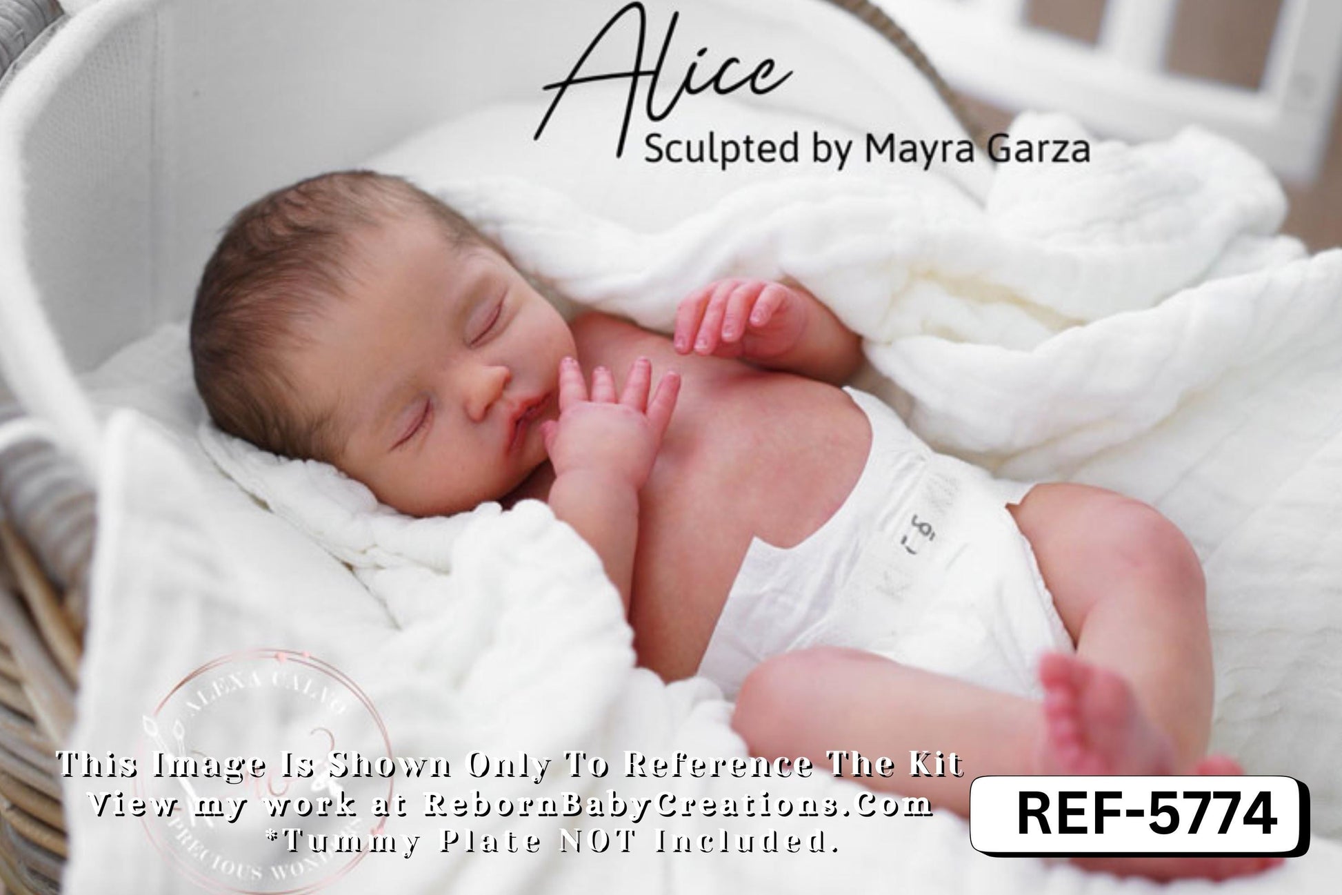 Pre-Order Coming September 7th!! LE Alice by Mayra Garza (19"+ Full Limbs)