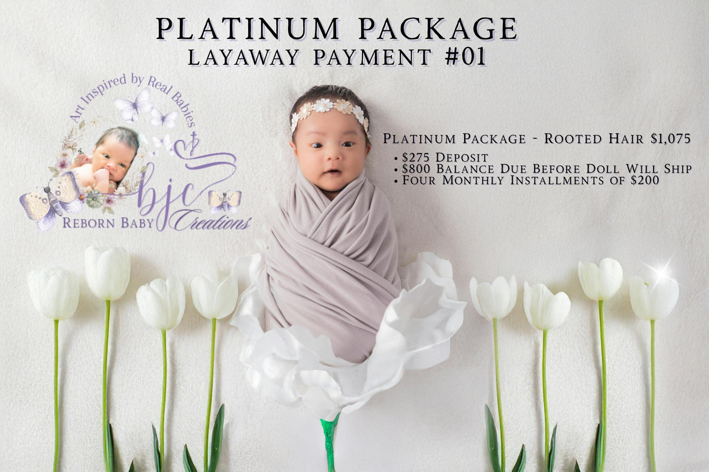 Platinum Layaway Plan - Payment #01