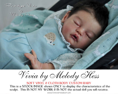 Beautiful Reborn Baby Dolls ~ CuStOm Vivia by Melody Hess (19"+Full Limbs)