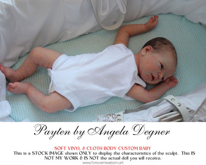 Beautiful Reborn Baby Dolls ~ CuStOm Payten by Angela Degner (20"+ Full Limbs)