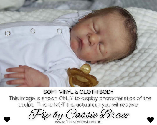 Beautiful Reborn Baby Dolls ~ CuStOm Pip by Cassie Brace (17"+Full Limbs)