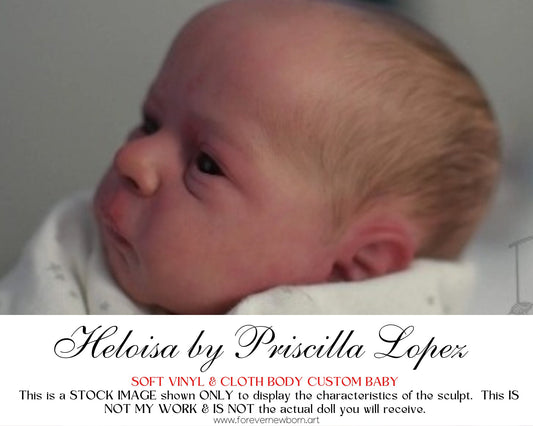 Beautiful Reborn Baby Dolls ~ CuStOm LE Heloisa by Priscilla Lopez (18"+Full Limbs)