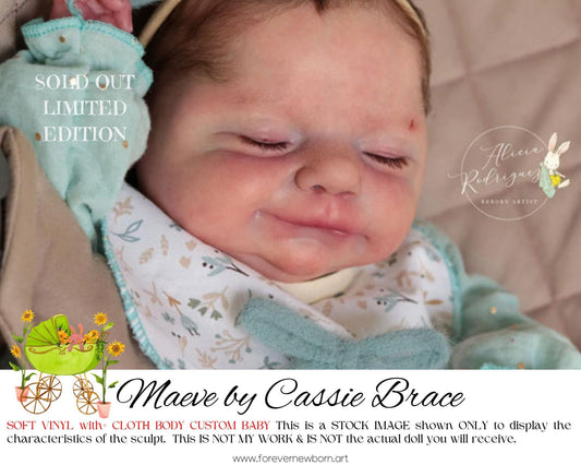 Ultra-Realistic ReBoRn BaBy ~ Maeve by Cassie Brace **Examples Of My Work Included (19"+Full Limbs)
