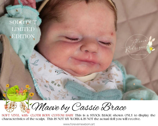 Beautiful Reborn Baby Dolls ~ CuStOm Maeve by Cassie Brace (19"+Full Limbs)