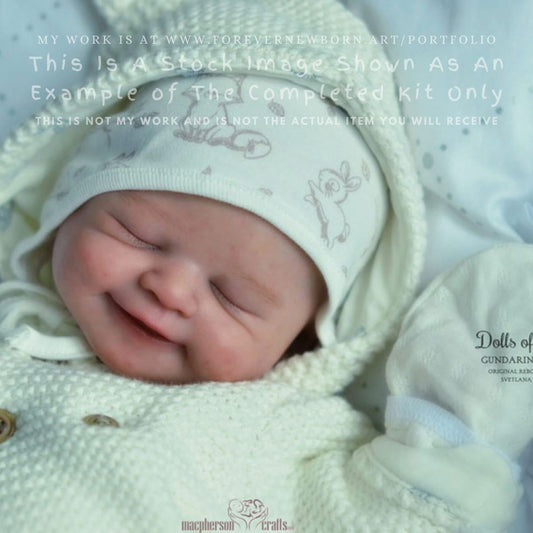 Ultra-Realistic ReBoRn BaBy ~ Alisha by Sabrina Hergarten **Examples Of My Work Included (21"+Full Limbs)