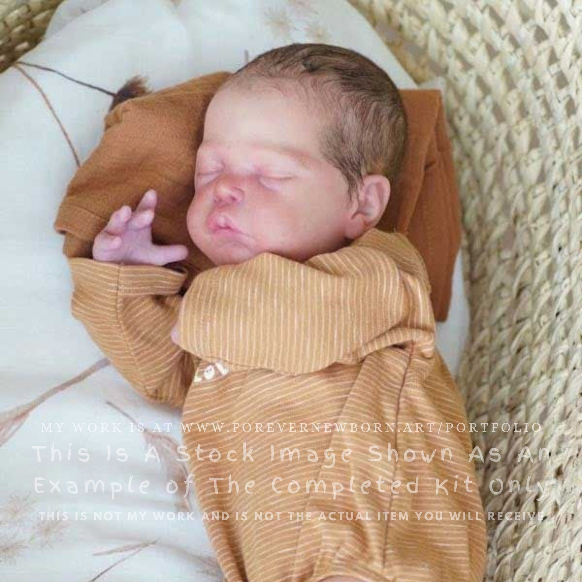 Beautiful Reborn Baby Dolls ~ CuStOm Cecily by Adrie Stoete (19" Full Limbs)