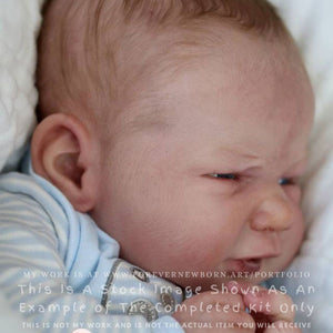 Descriptive image text
