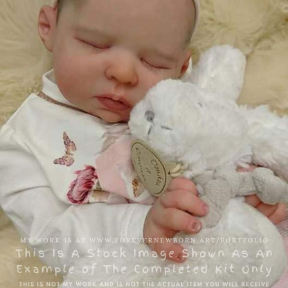 Ultra-Realistic ReBoRn BaBy ~ Etta By Sienna Kuhlstrom Ahlgren **Examples Of My Work Included (19"+Full Limbs)