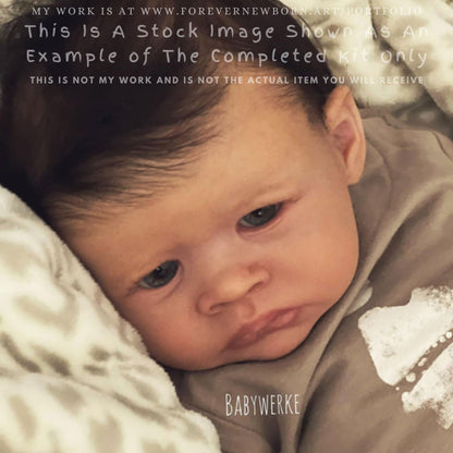 Ultra-Realistic ReBoRn BaBy ~ Jamo by Melanie Gebhardt **Examples Of My Work Included (19"+Full Limbs)