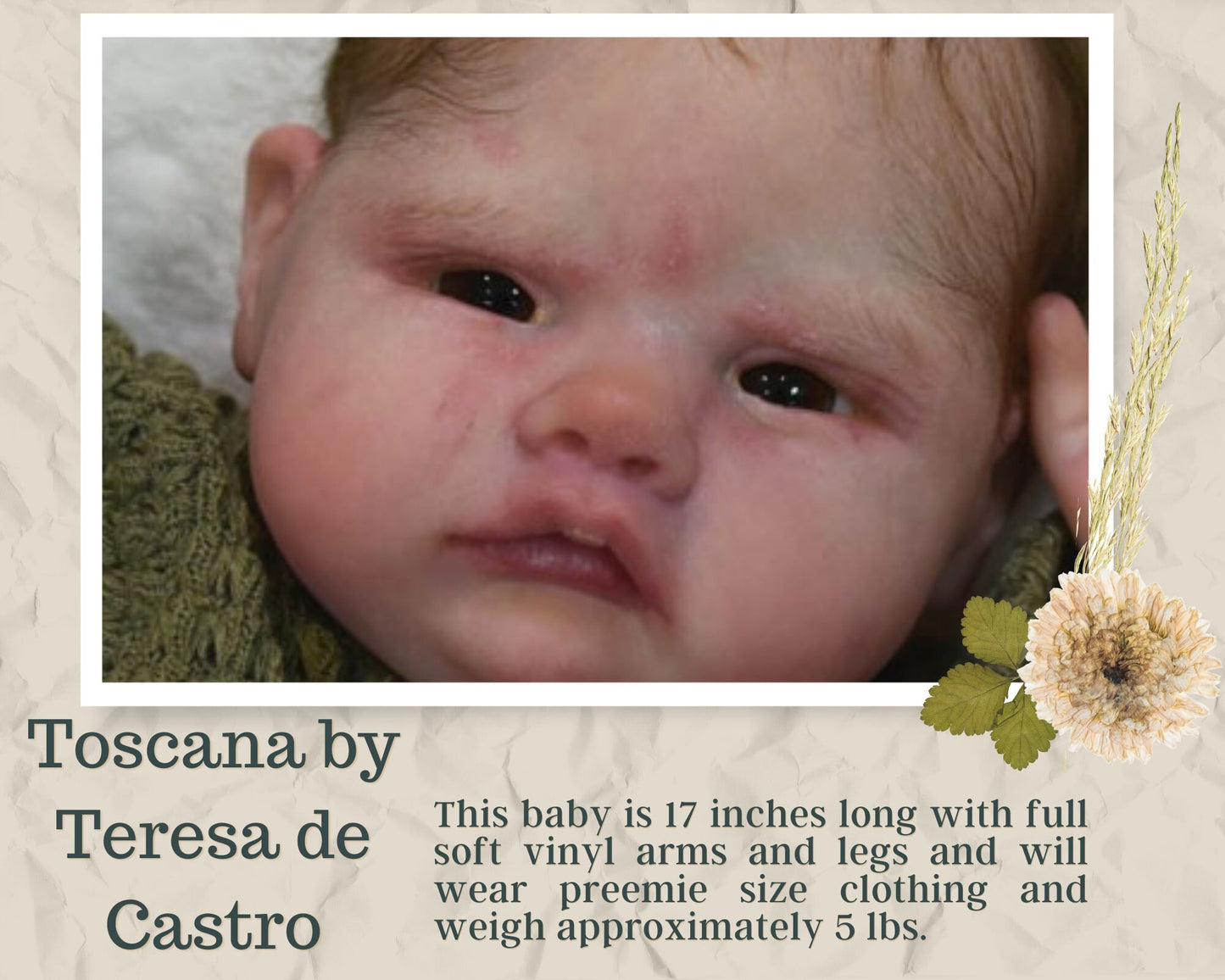 Ultra-Realistic ReBoRn BaBy ~ Tuscany by Teresa de Castro **Examples Of My Work Included (17"+Full Limbs)