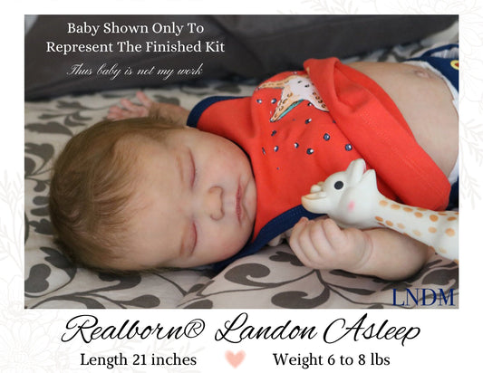 Ultra-Realistic Realborn® Landon Asleep (21"+Full Limbs)