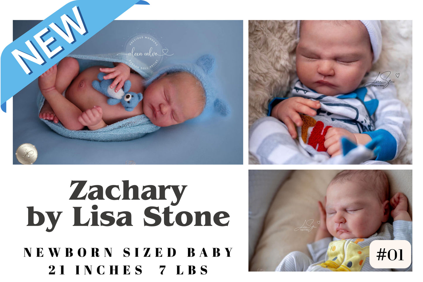 BRAND NEW! **Ultra-Realistic ReBoRn BaBy ~ Zachary by Lisa Stone (21 inches Full Limbs)