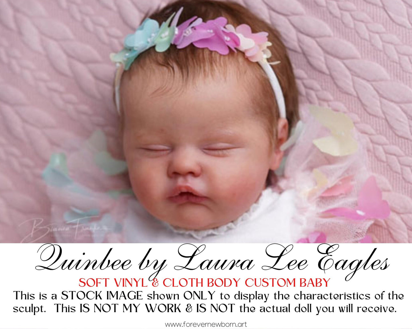 Beautiful Reborn Baby Dolls ~ CuStOm Quinbee by Laura Lee Eagles (18" + Full Limbs)