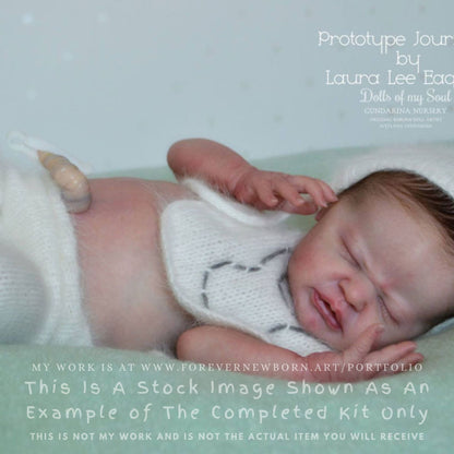 ECONOMY Baby Custom Journey By Laura Lee Eagles (19"+Full Limbs)