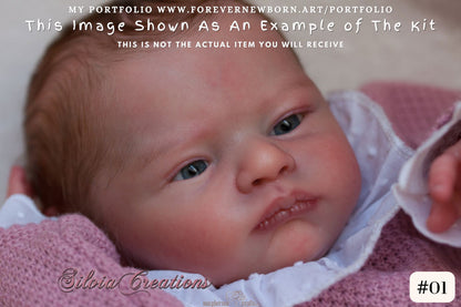 Beautiful Reborn Baby Dolls ~ CuStOm Florence by Eva Brilli (19"+ Full Limbs) *Extended Processing Time. NEW SCULPT.