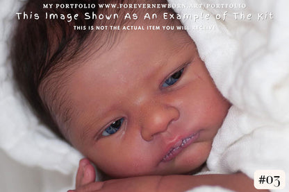 Beautiful Reborn Baby Dolls ~ CuStOm Florence by Eva Brilli (19"+ Full Limbs) *Extended Processing Time. NEW SCULPT.