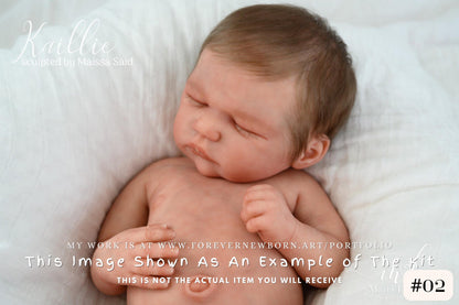 Full Body Silicone Baby Kaillie/Kellan Asleep (19.5 inches 7 lbs 6 oz) *Listing Images include my own work.