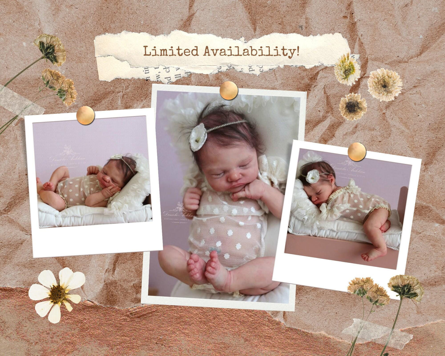 LAST CHANCE! Full Silicone Baby LeLou by Izzy Zhao (16.5 inches)