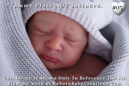 Reborn Baby **Hyper-Realistic** Reborn Doll Ossie by Priscilla Lopes (19"+Full Limbs)