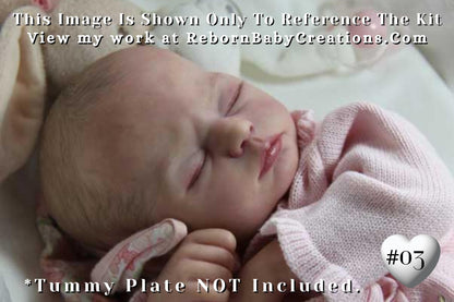 Reborn Baby **Hyper-Realistic** Reborn Doll Lark by Mayra Garza (19"+ Full Limbs)