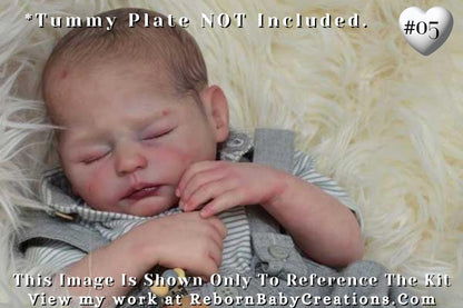 Reborn Baby **Hyper-Realistic** Reborn Doll Lark by Mayra Garza (19"+ Full Limbs)