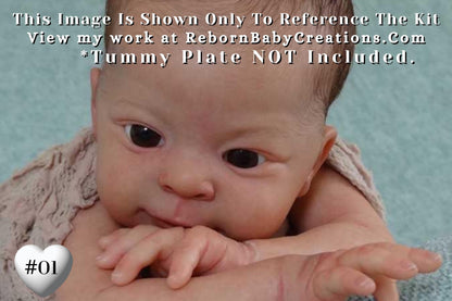 Reborn Baby **Hyper-Realistic** Reborn Doll Anthony by Laura Tuzio Ross (18"+ Full Limbs)