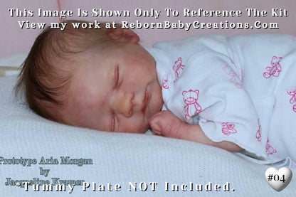 Reborn Baby **Hyper-Realistic** Reborn Aria by Toby Morgan (18"+ Full Limbs)