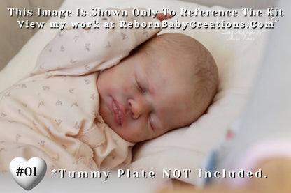 Reborn Baby **Hyper-Realistic** Reborn doll SOLE Zara by Alicia Toner (22"+ Full Limbs)