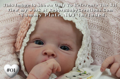 Affordable Options Lifelike Reborn Babies ~ Custom Amelia by Ping Lau (19"+ Full Limbs)