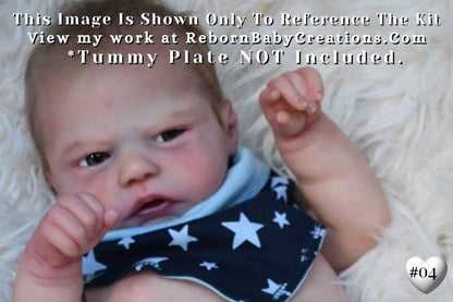 Last Chance! Reborn Baby Robin Awake by Nikki Johnston (19"+Full Limbs)