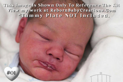 Pre-Order Opens 2/27 **Hyper-Realistic** Reborn LE Lovan by Cassie Ann Brace (20" + Full Limbs)