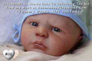 Descriptive image text