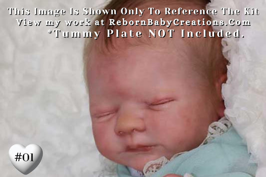 Reborn Baby **Hyper-Realistic** Reborn Aria by Toby Morgan (18"+ Full Limbs)