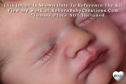 Reborn Baby **Hyper-Realistic** Reborn doll SOLE Evie by Laura Lee Eagles (19"+ Full Limbs)