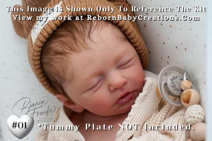 Precious NEW BABY!! Custom Reborn Jesse by Severine Piret (19"+Full Limbs)