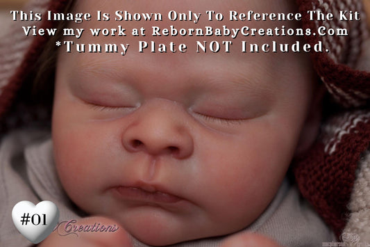 Hyper-Realistic Reborn LE Theo by Doris Moyers Hornbogen (19"+Full Limbs)