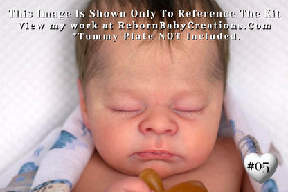 Hyper-Realistic Reborn LE Theo by Doris Moyers Hornbogen (19"+Full Limbs)