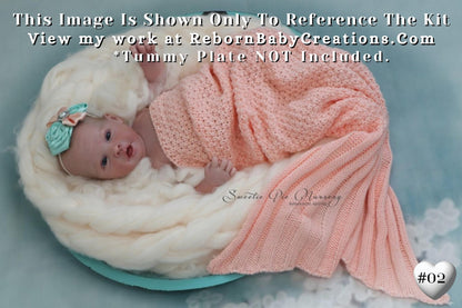 Affordable Options Lifelike Reborn Babies ~ Custom Amelia by Ping Lau (19"+ Full Limbs)