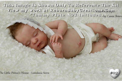 Affordable Options Lifelike Reborn Babies ~ Custom Zoey by Cassie Brace (18"+ Full Limbs)
