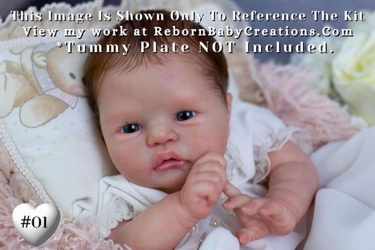 Hurry! This Is The LAST Reborn Tavie by Melody Hess (20"+Full Limbs)